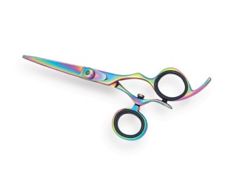 Professional Hair Cutting Scissors 